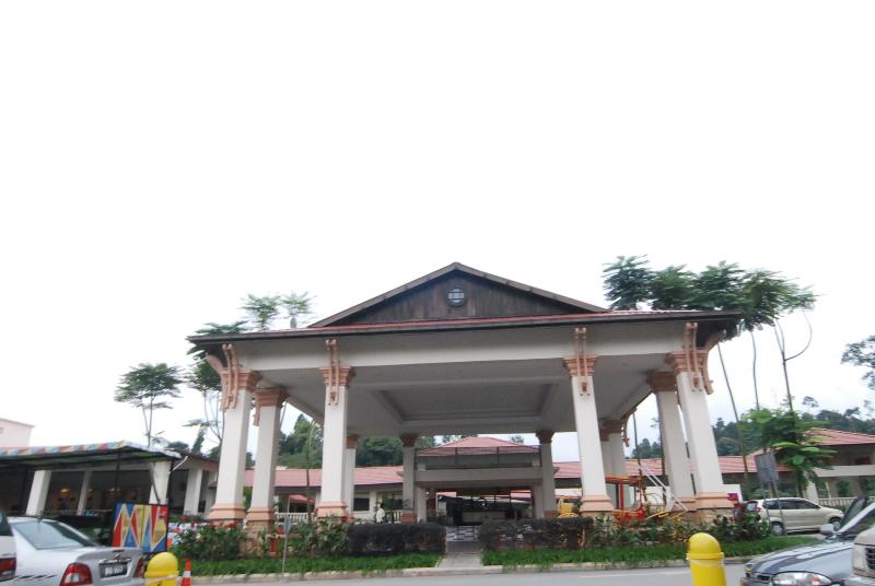 DSC 5916